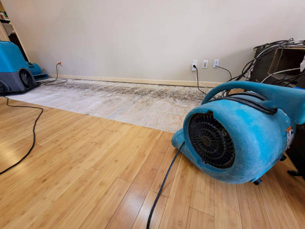 Reliable Basement Flood Cleanup contractor in Waterloo, IN by Hirex Water Damage