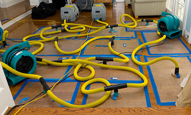 Professional Basement Flood Cleanup technician working in Waterloo, IN